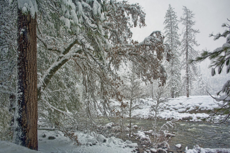 Wintertime at Yosemite