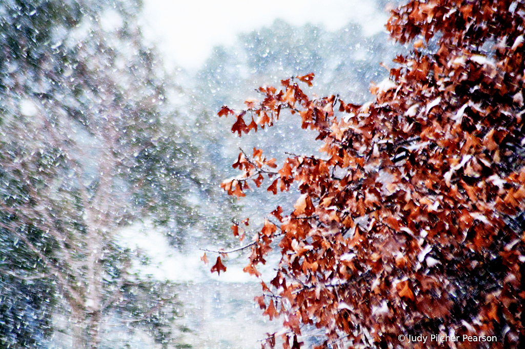 an unexpected snowy day.......