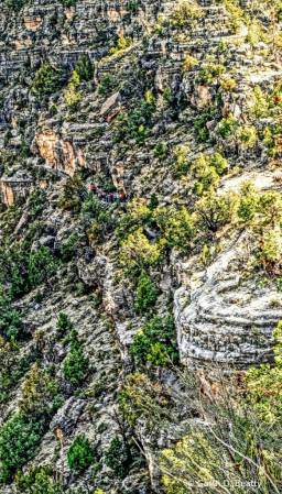 Walnut Canyon, Arizona