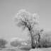 © Carolyn  M. Fletcher PhotoID# 15974845: Roadside Cool