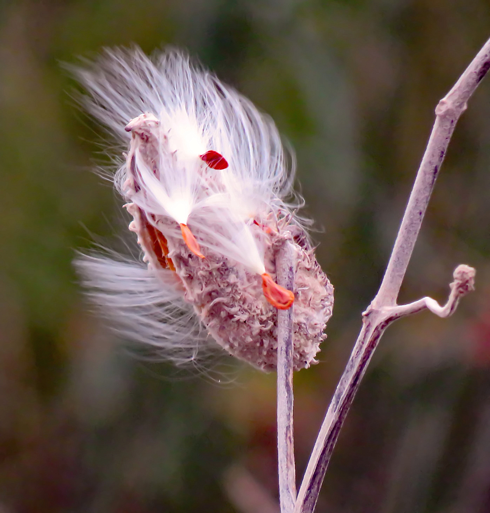 In The Wind