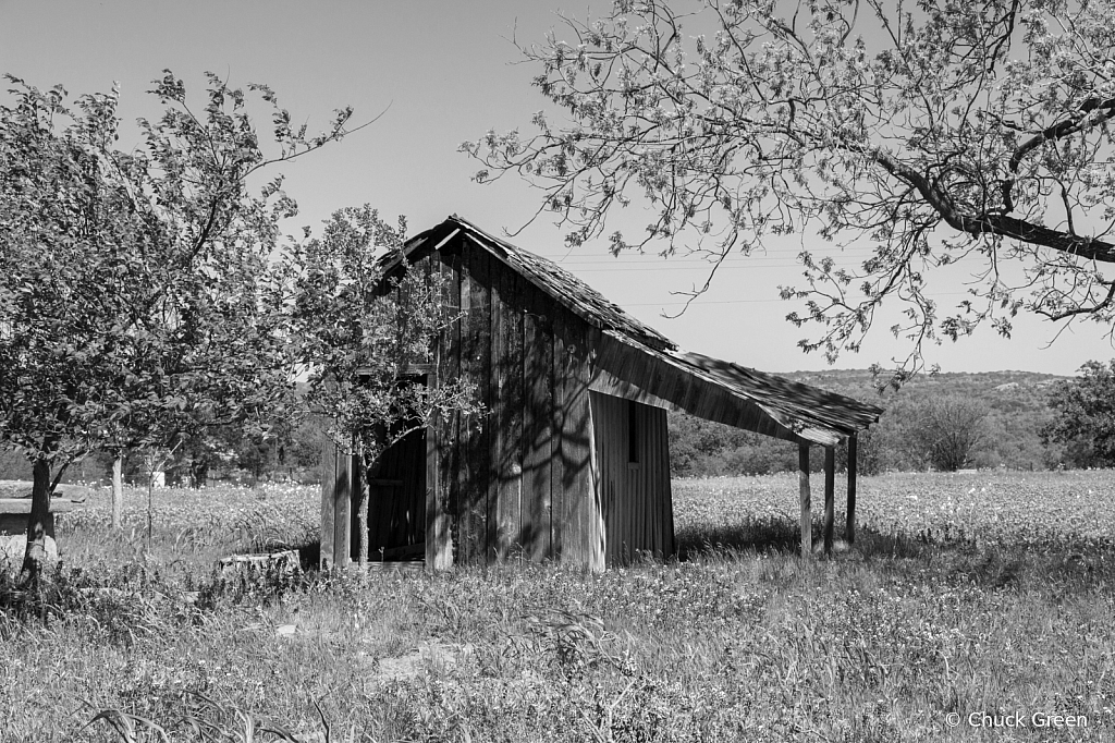 The Old Shed