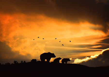 Bears in a Sunrise