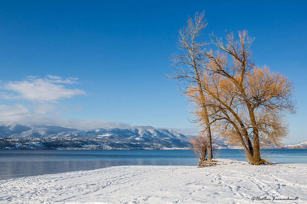 Sarsan's Beach In Winter