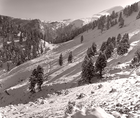 Snowy mountainside.