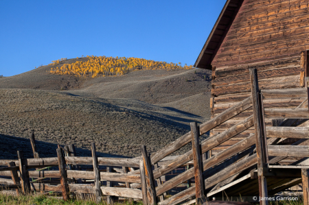 Mound of Gold