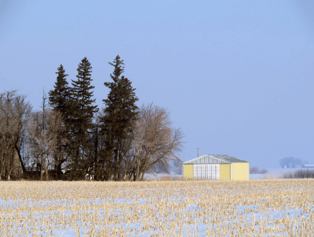 Shed With Matching Corn Stubble