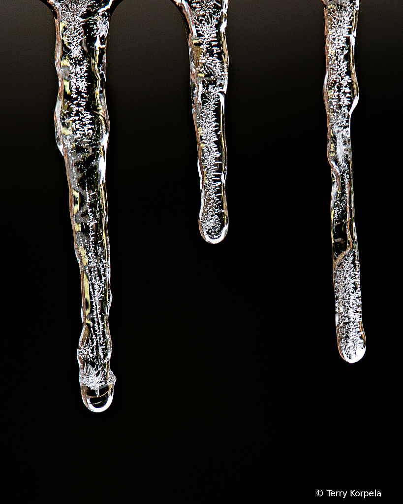 Icicles hanging from my carport - ID: 15975784 © Terry Korpela