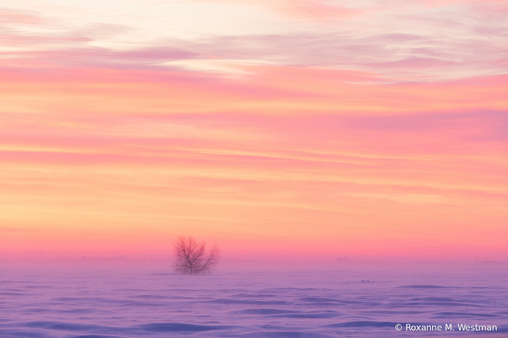 Blustery Winter day in North Dakota - ID: 15976138 © Roxanne M. Westman