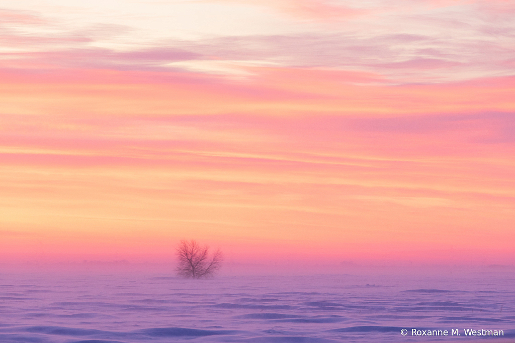 Blustery Winter day in North Dakota