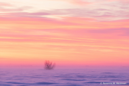 Blustery Winter day in North Dakota