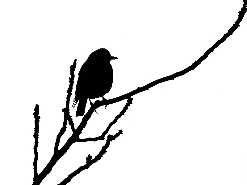 img11