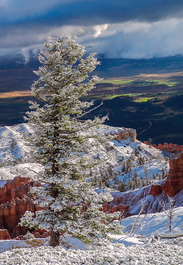 Morning Light after the Snow - ID: 15976097 © John D. Roach