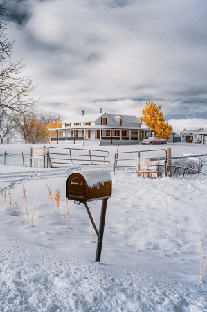 Mailbox in the snow 