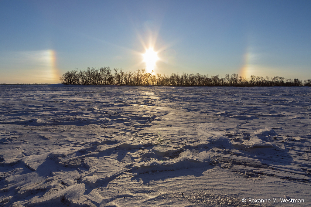 Winter sun dogs - ID: 15976246 © Roxanne M. Westman