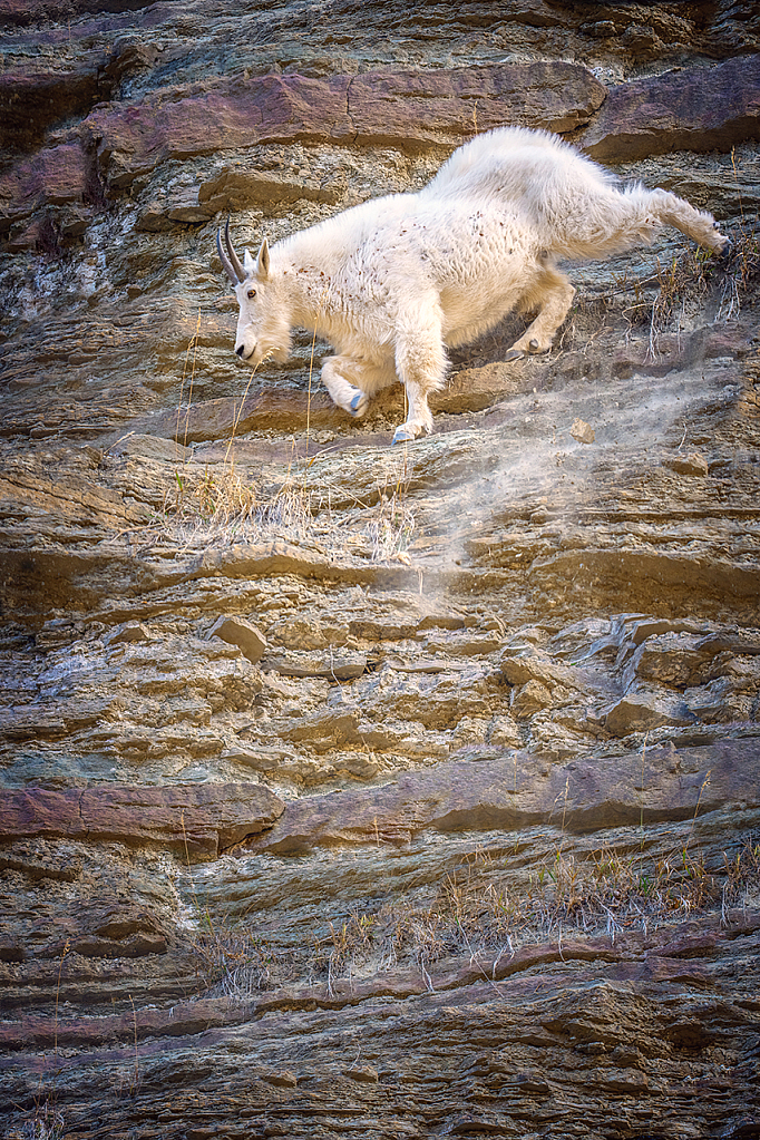 Look Out Below - ID: 15976402 © Deb. Hayes Zimmerman