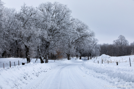Wintery country drive in North Dakota