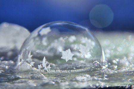 Frozen Bubble #3
