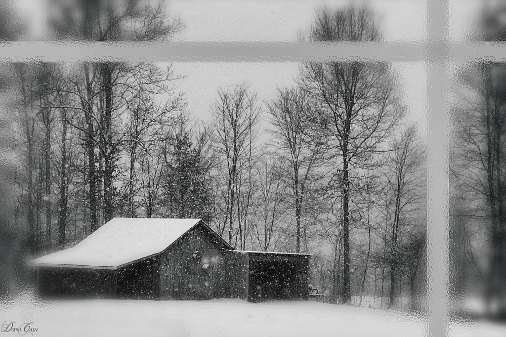 A Kentucky January Day