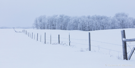North Dakota fenceline in the snow