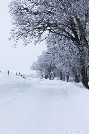 Snow tracks