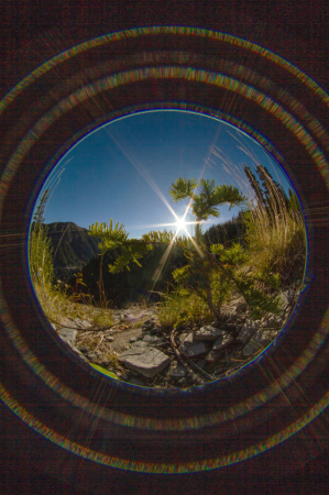 Thru the Looking Glass