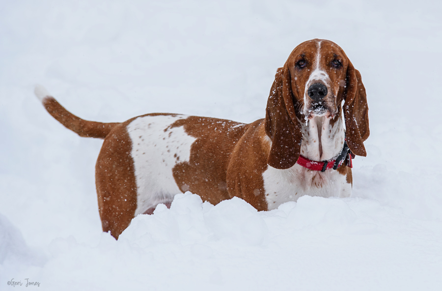 Lovin The Snow