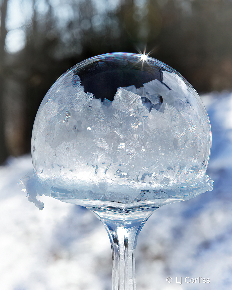 frozen bubble