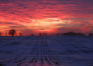 Sensational Sunse...