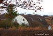 White Barn