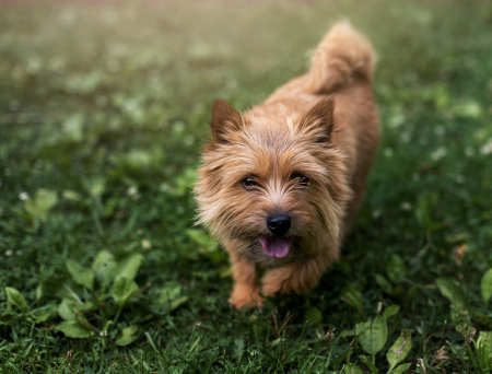 Happiness In The Park