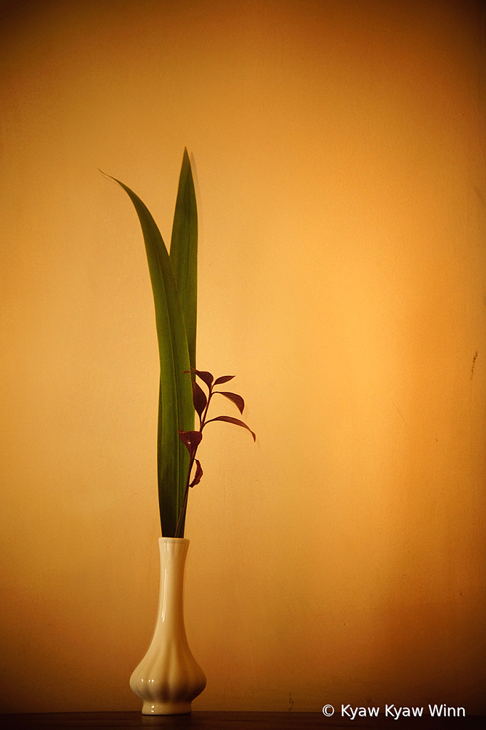 img7