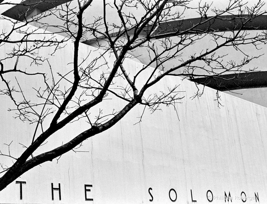 The Solomon