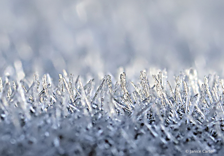 Frost 