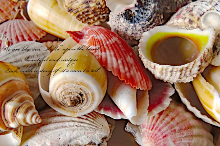 We Are Like Seashells Upon The Beach