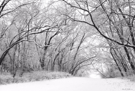 ~Winter Whispers~