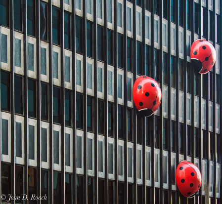 The Lady Bug Building