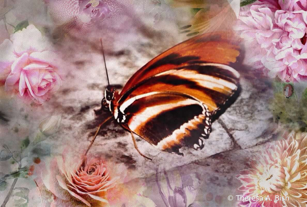 Butterfly Technique 