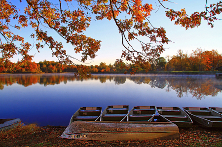 Peaceful Morning