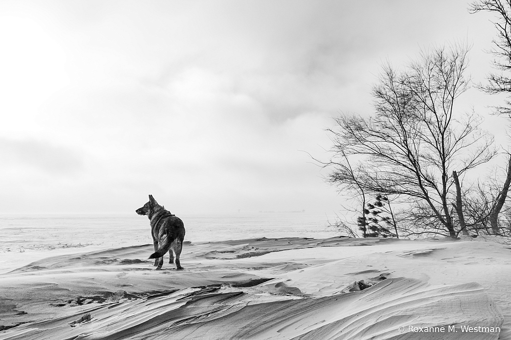 Standing in the elements