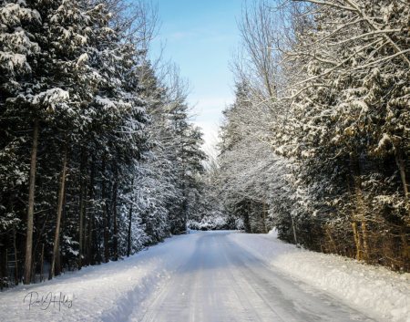 Snowy Country Roadway