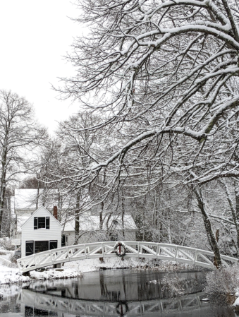 Snowy Day