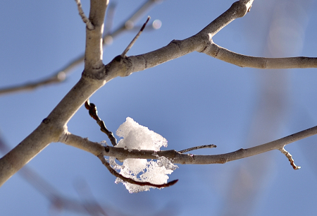 Fall Snow