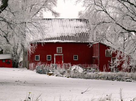 Red Barn On Wheelerwood