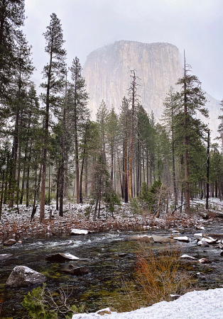 Icon in the Mist