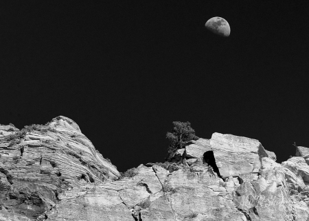 Moon Over Zion