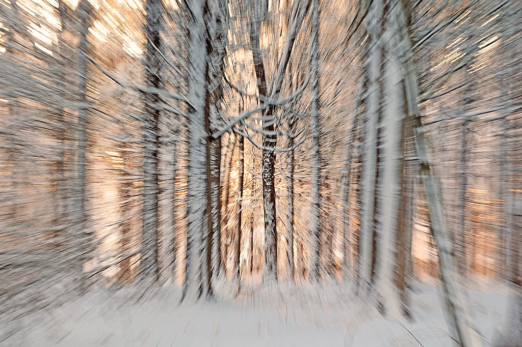 Wintry Zoom