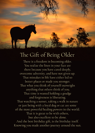 The Gift on Being Older