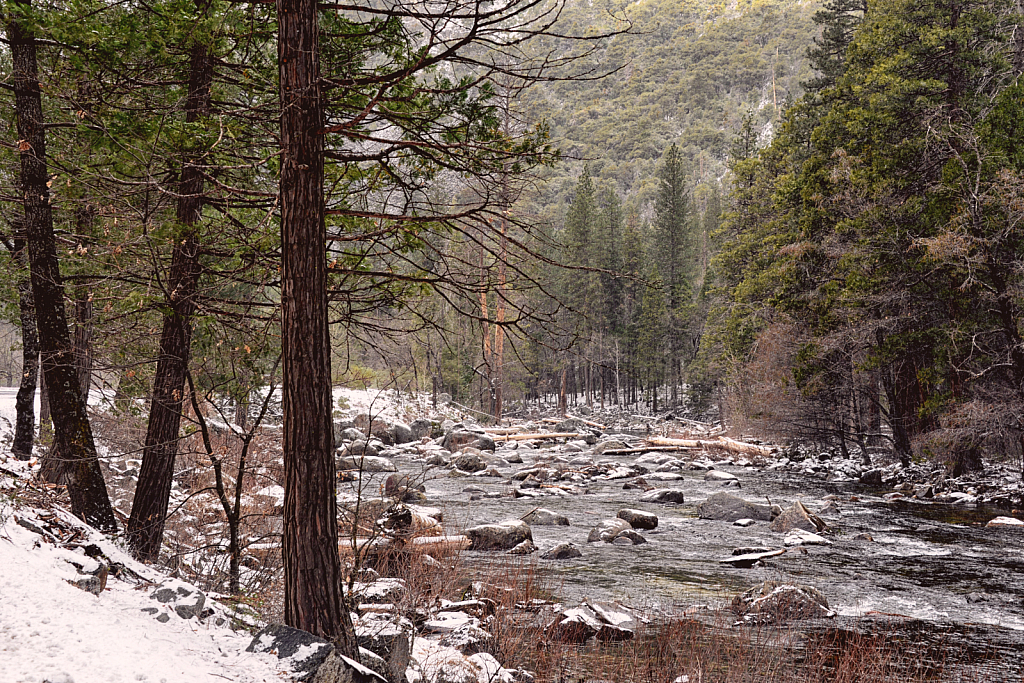 Snow Capped Rocks