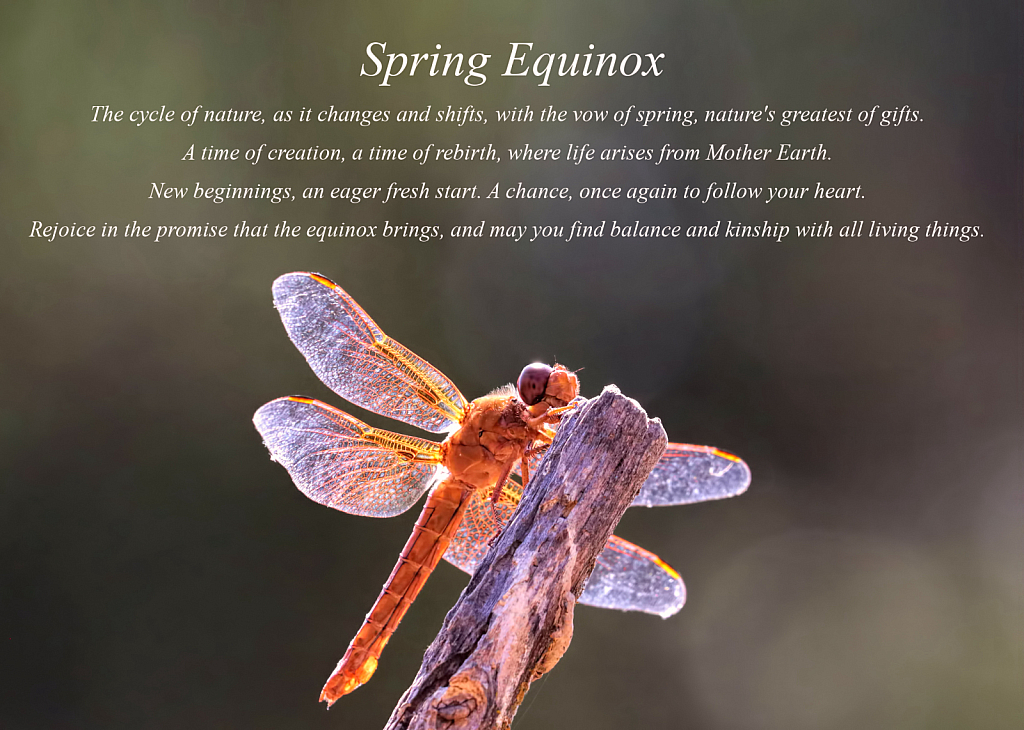 Spring Equinox